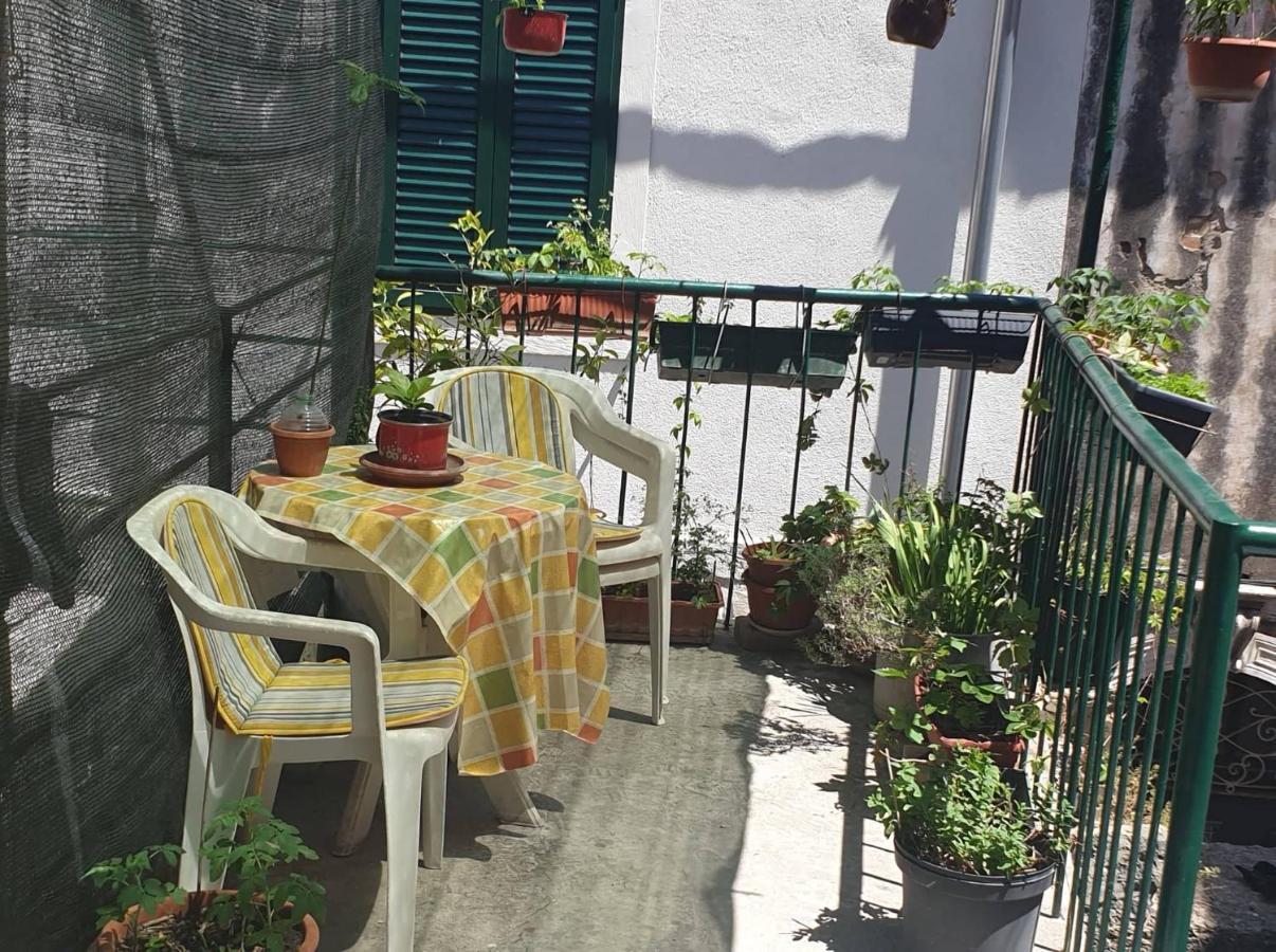 Apartmani Nedo سبليت المظهر الخارجي الصورة