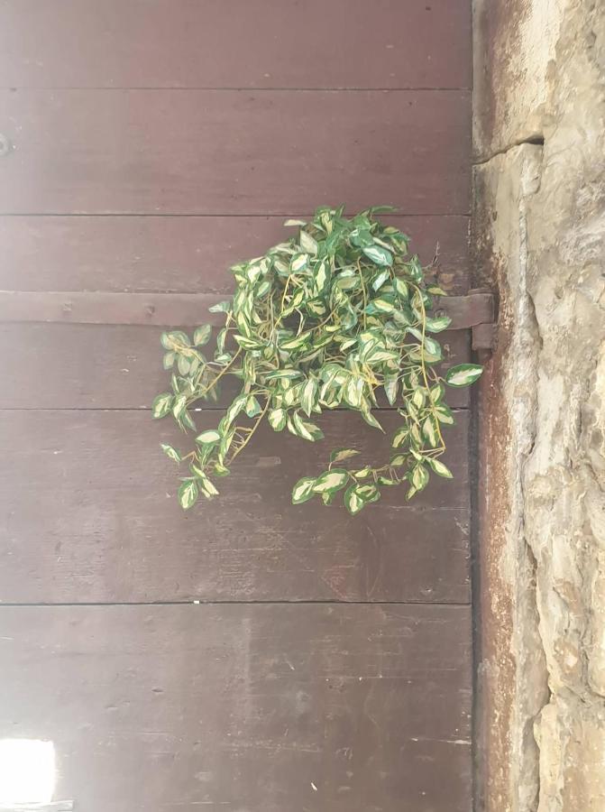 Apartmani Nedo سبليت المظهر الخارجي الصورة